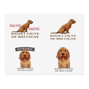 Basset Fauve de Bretagne dog illustrations and logos.
