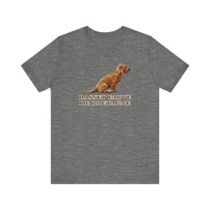 Basset Fauve de Bretagne dog on gray t-shirt