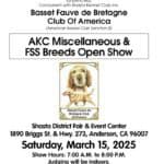 Basset Fauve de Bretagne dog show poster.