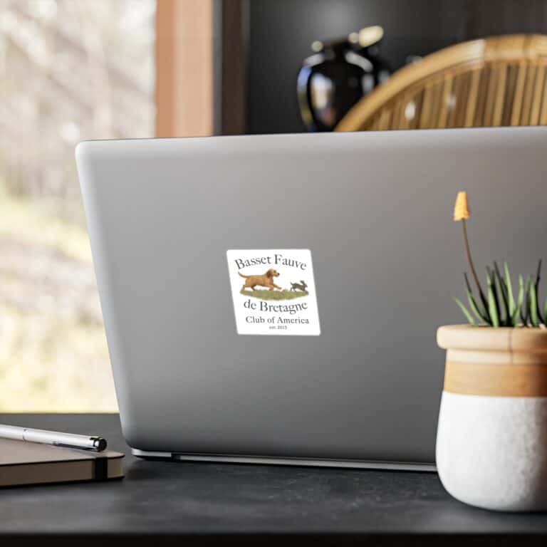 Laptop with Basset Fauve de Bretagne sticker