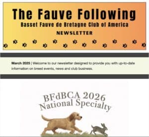 Basset Fauve Club newsletter and event announcement.
