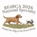BfdBCA 2026 dog and rabbit illustration