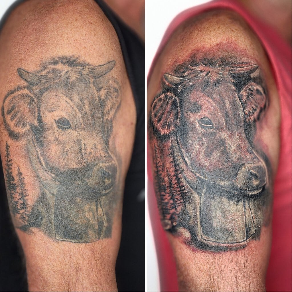 Vorher-Nachher Vergleich eines realistischen Kuh Tattoos – Farbintensität und Tiefe durch Touch-Up Tattoo verbessert.