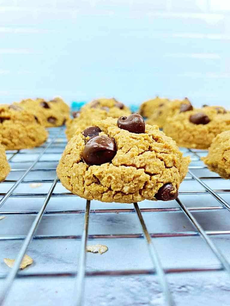 Chickpea Chocolate Chip Cookies from Your Choice Nutrition