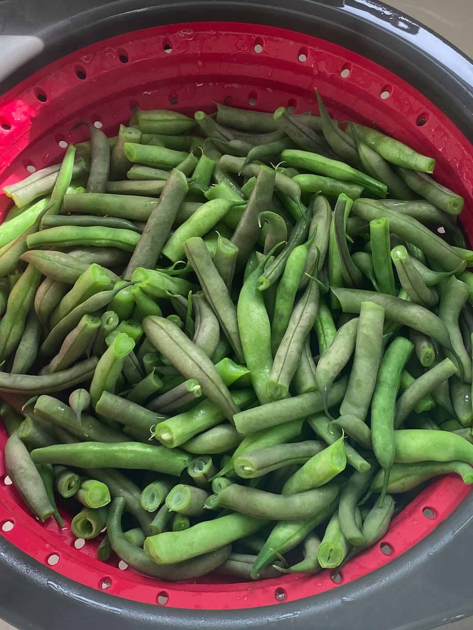Drained, blanched beans in a colander.