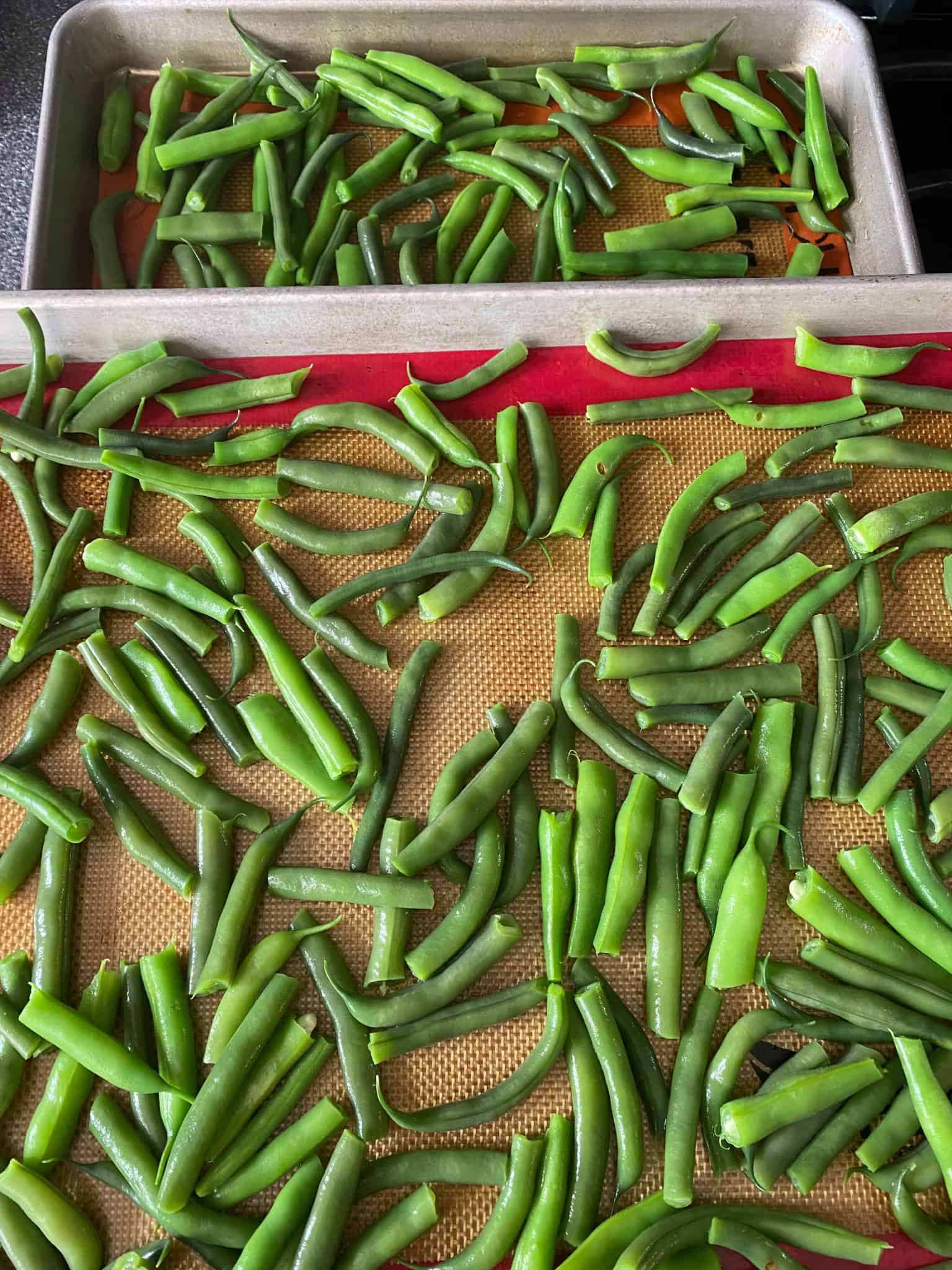 Blanched beans on cookie sheets, ready for freezing.