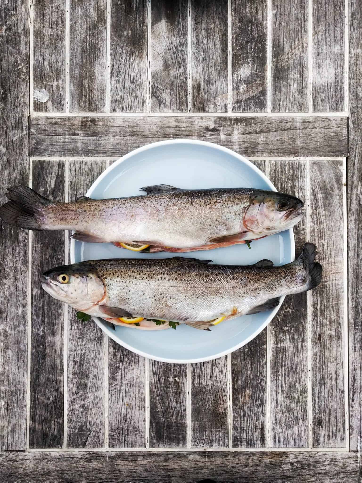 Two whole fish on a blue plate.