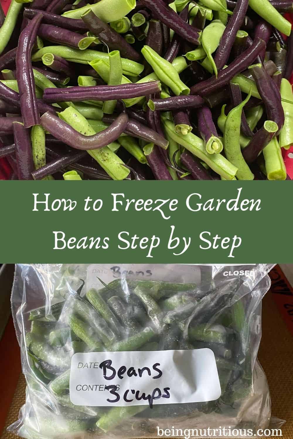 Split image: top is fresh beans, bottom is frozen beans in zipper bags. Text overlay in green rectangle: How to Freeze Garden Beans Step by Step.