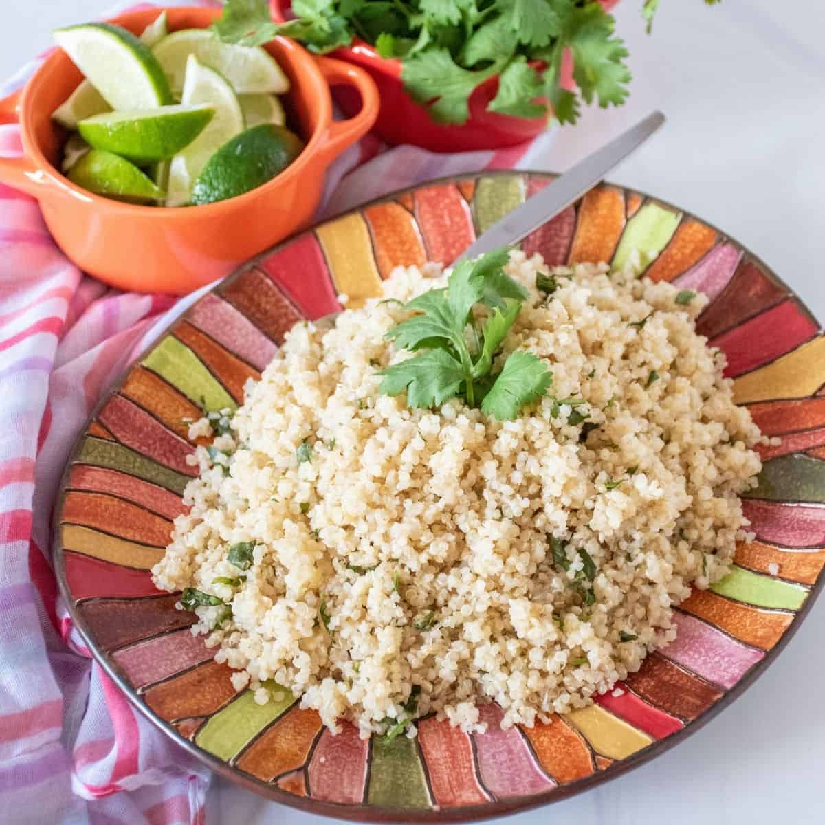 Plate of quinoa, garnished with cilantro.