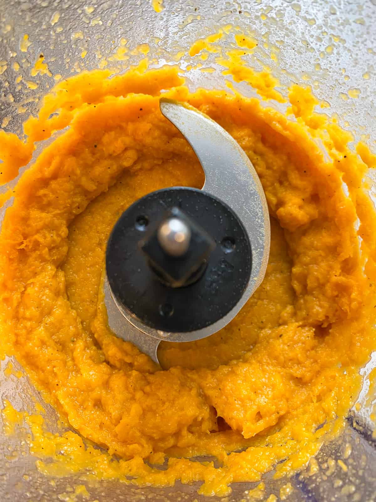 Butternut squash puree in a food processor.