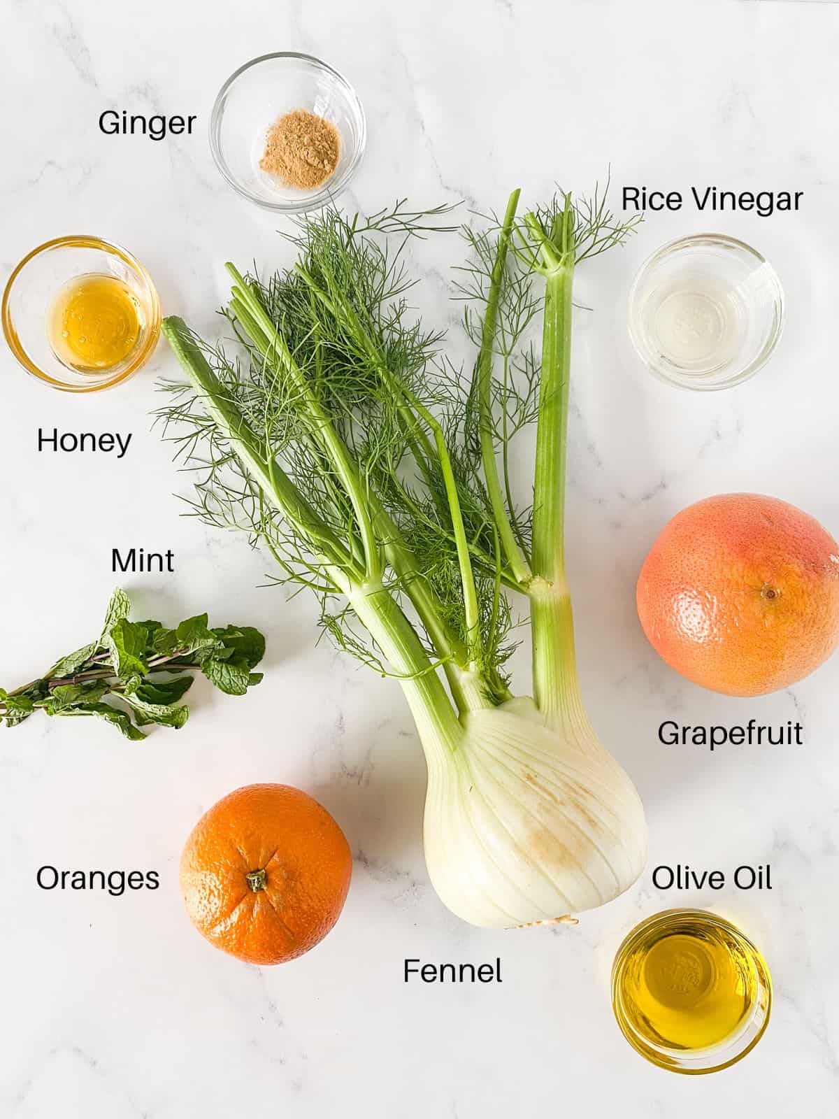 Ingredients for fennel grapefruit salad.