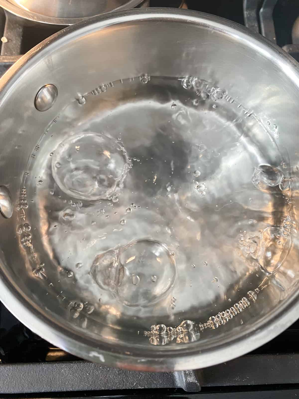 A pot of boiling water.