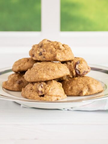 Stack of cookies on a plate.