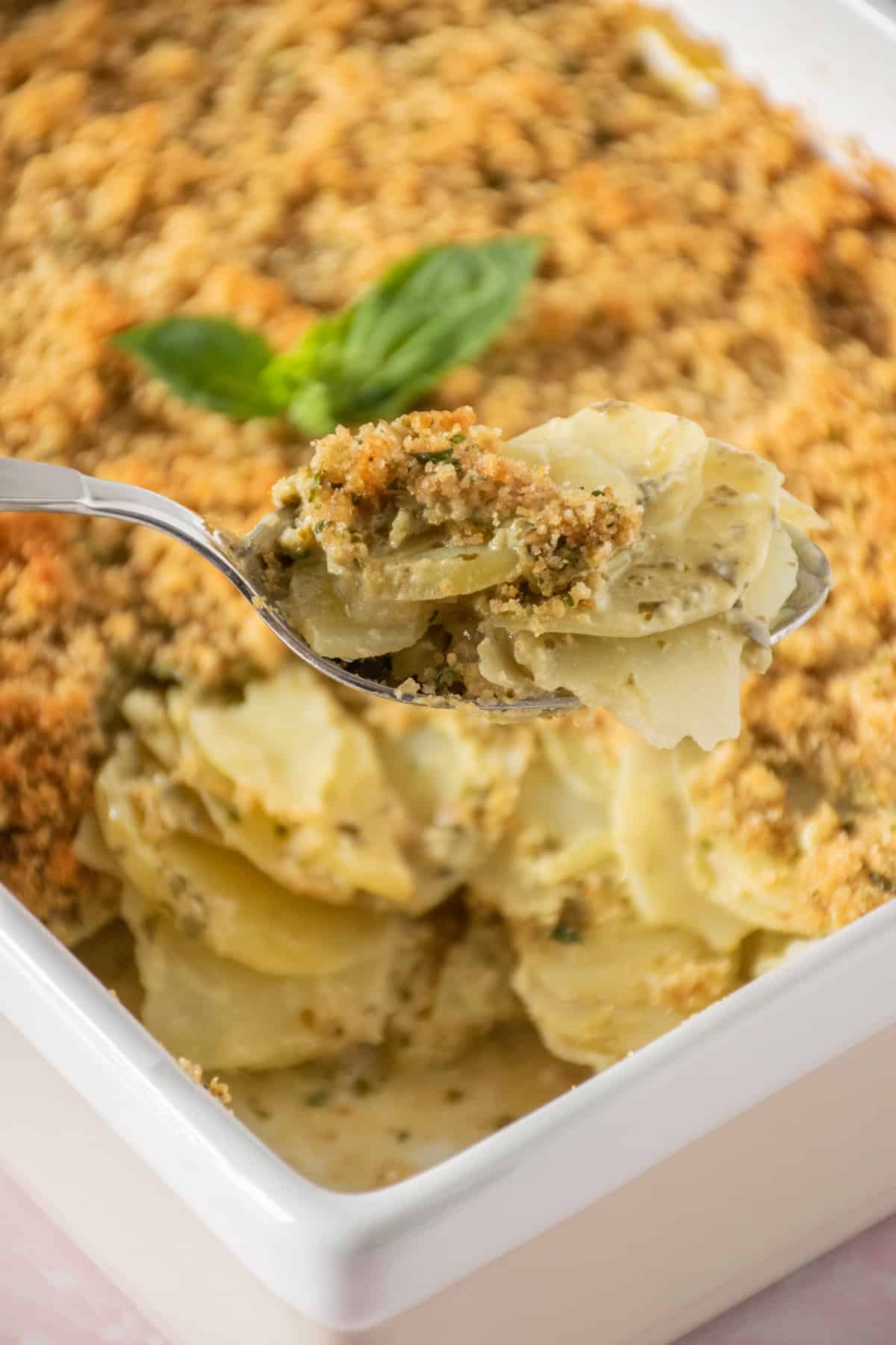 Spoonful of herb scalloped potatoes being held up, with the baking dish of potatoes in the background.