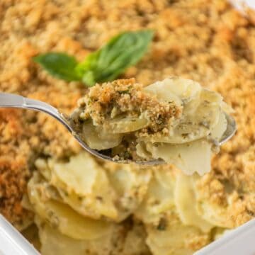 Spoonful of herb scalloped potatoes being held up, with the baking dish of potatoes in the background.