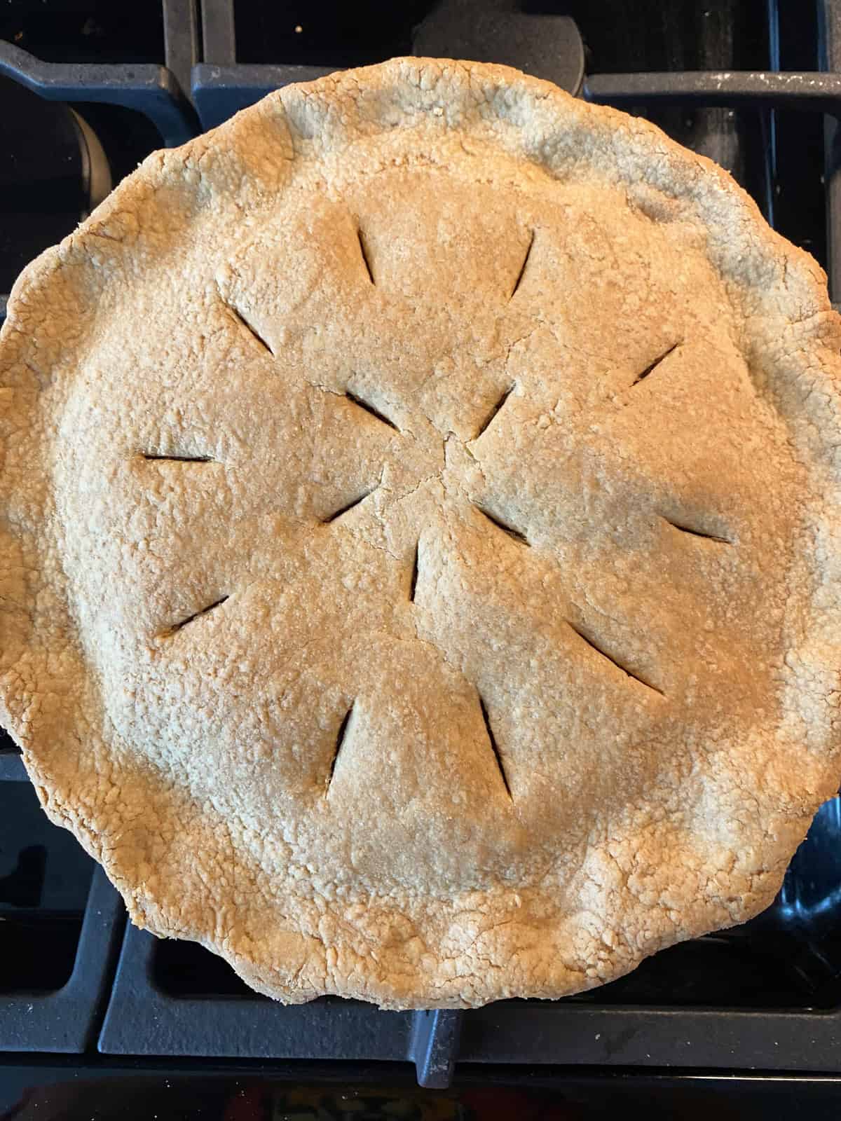 Baked, fresh peach pie.