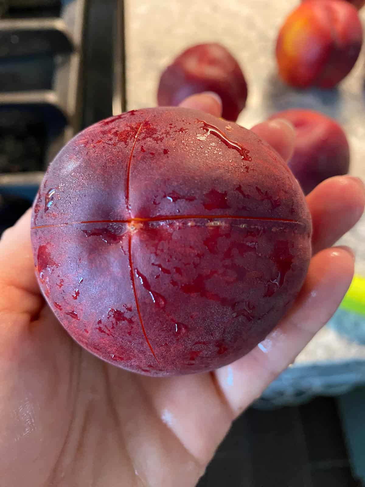 A fresh peach being held up to show a cross cut into the bottom of it.
