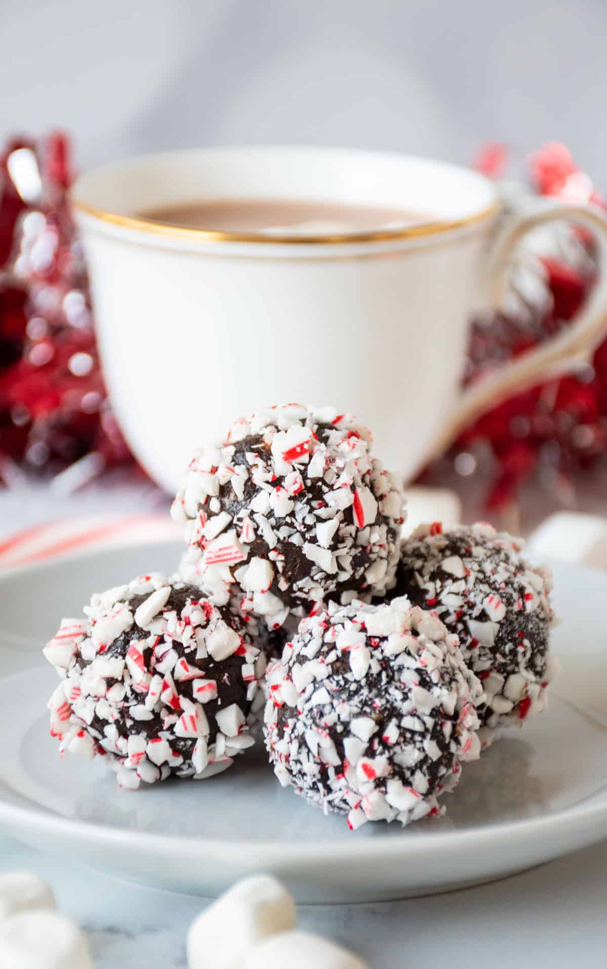 Small plate of peppermint hot cocoa bites.