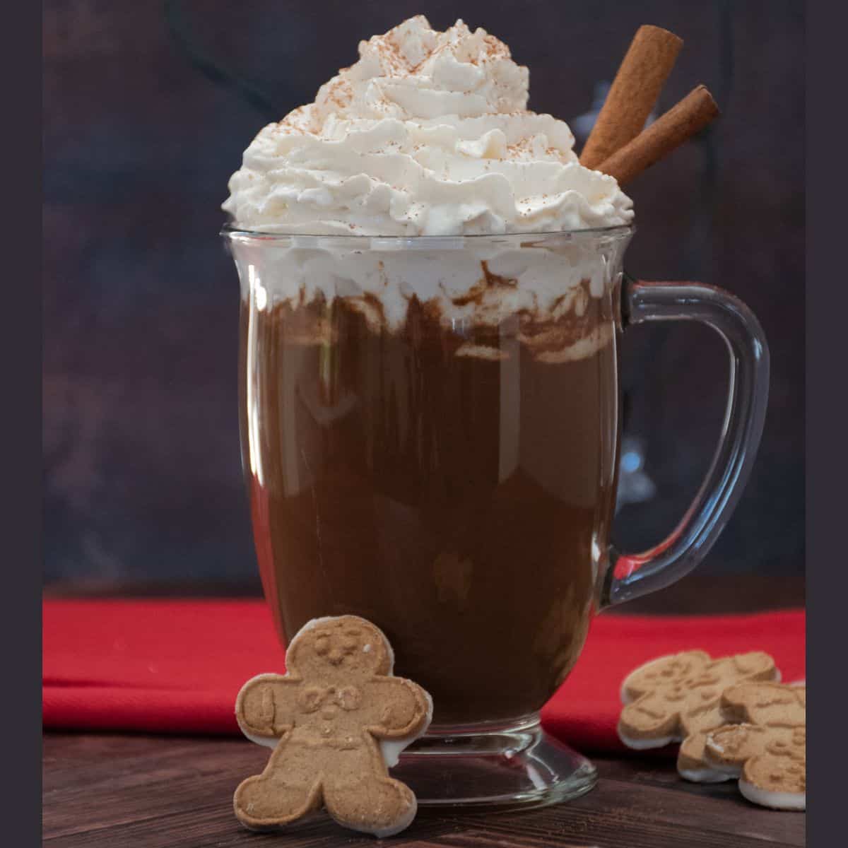 Glass mug of hot cocoa, garnished with whipped cream and 2 cinnamon sticks. Small gingerbread cookies are scattered around the table.