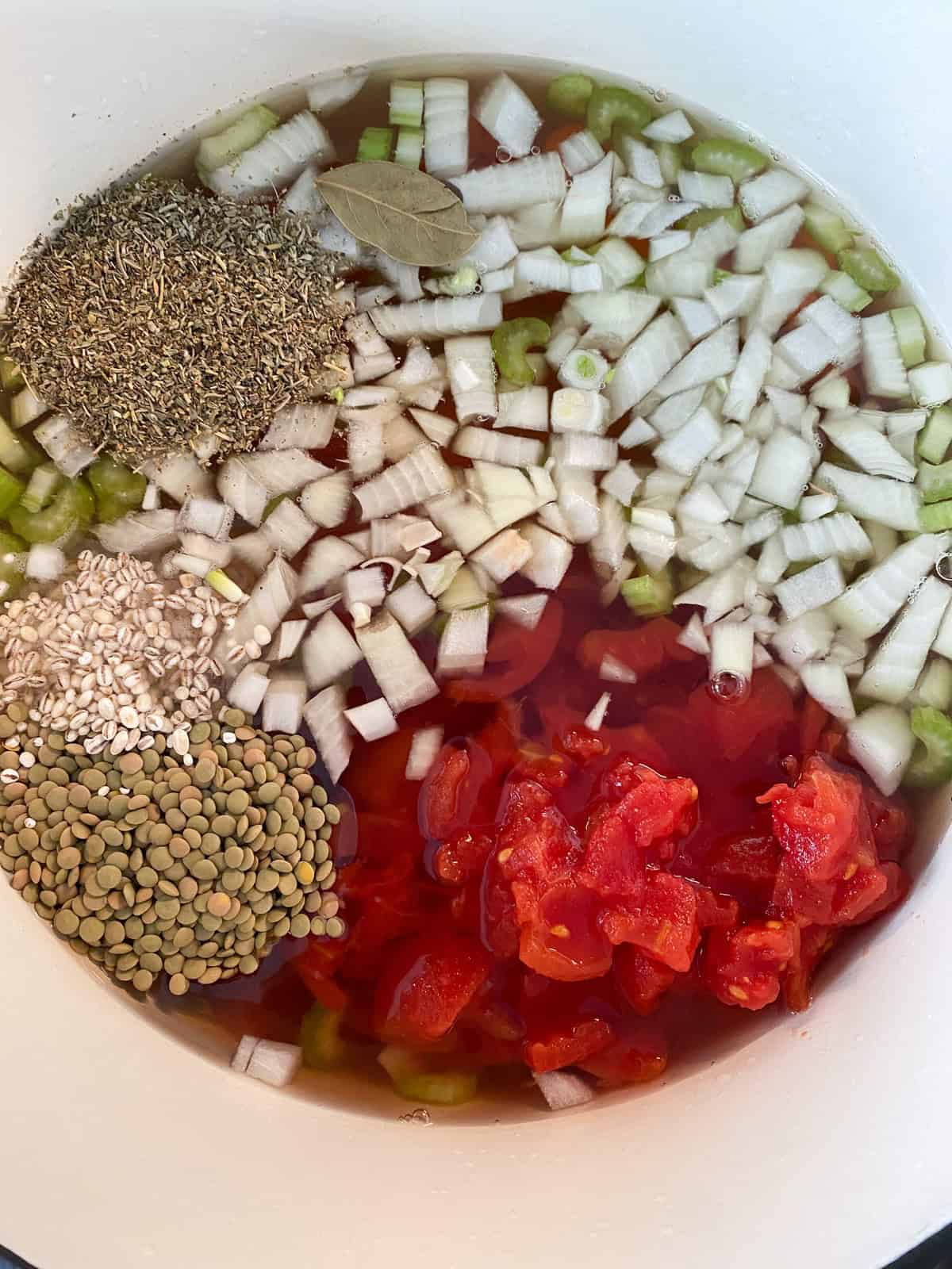 Soup ingredients, added to the pot.