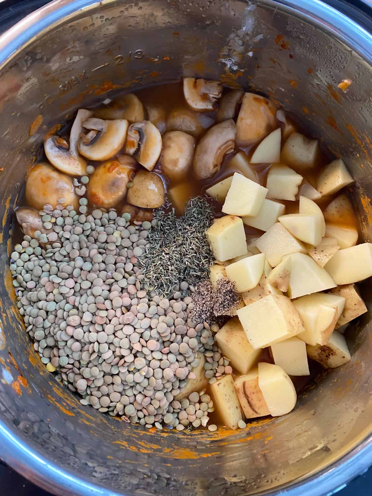 All stew ingredients in the instant pot.