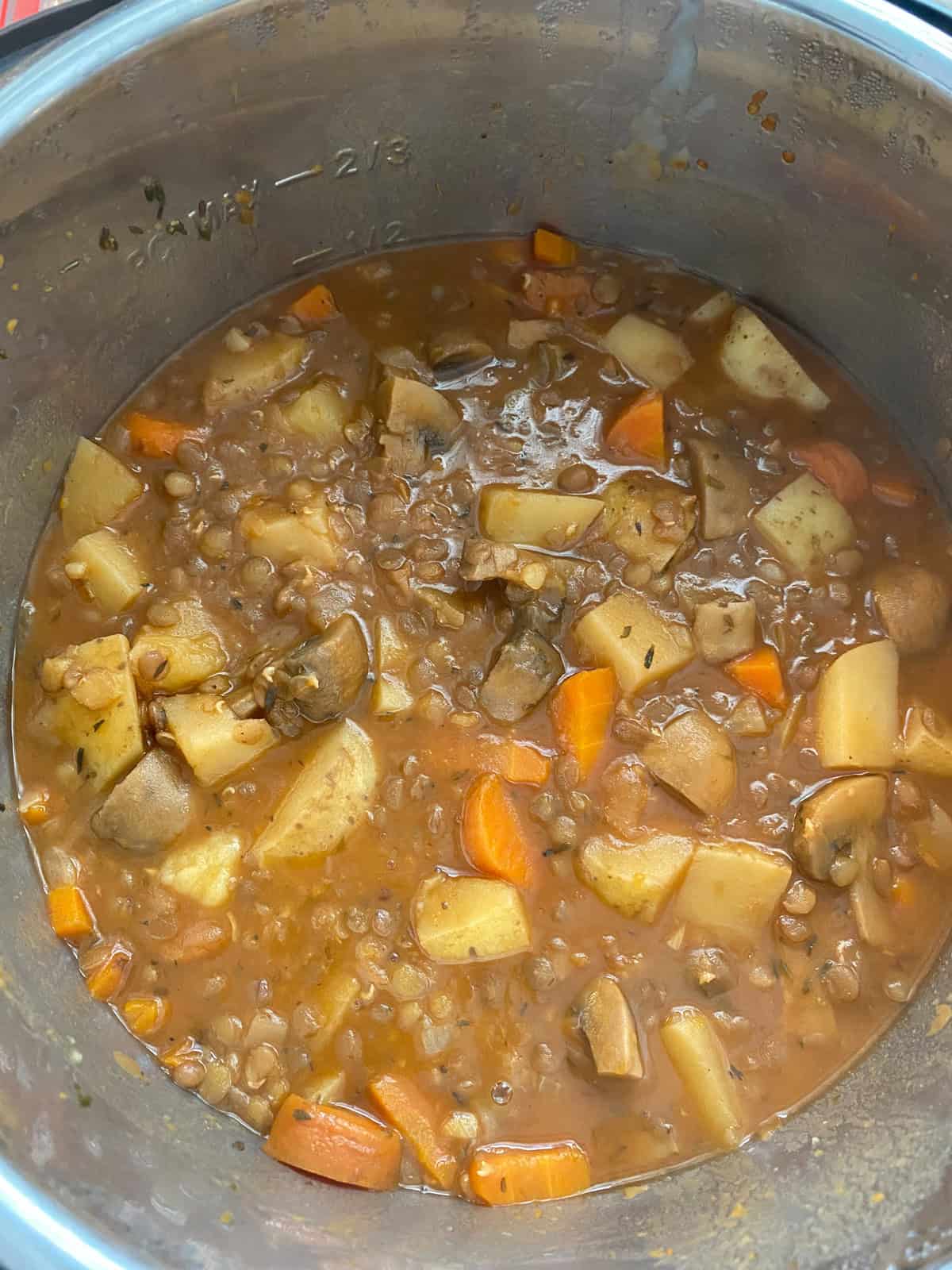 Finished Irish stew in the instant pot.