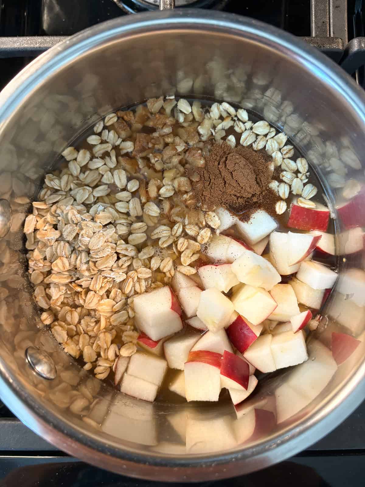 All ingredients for the oatmeal recipe in a pot.