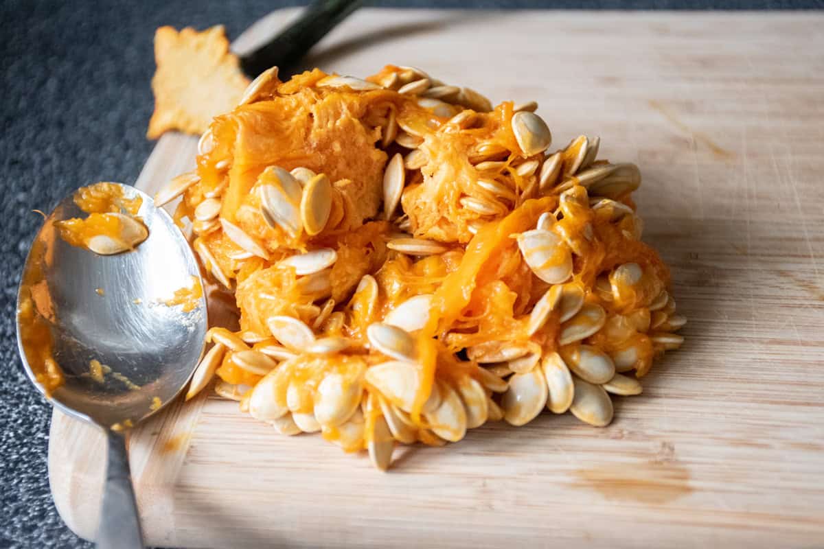 Raw pumpkin seeds and pulp, just scooped out of a pumpkin.