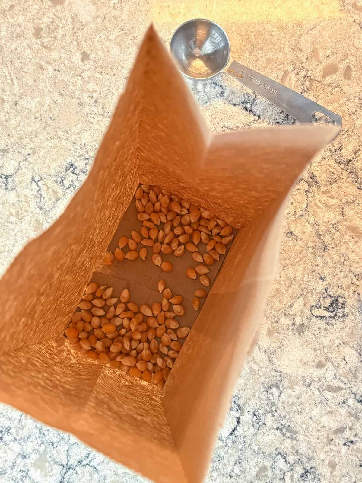 Popcorn kernels in a brown paper lunch bag.