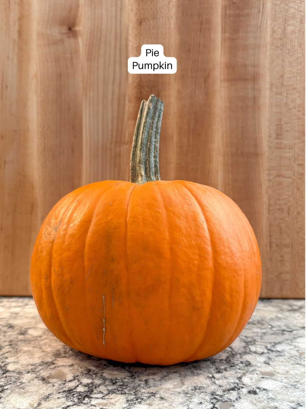 Pie pumpkin. Single ingredient for making pumpkin puree.