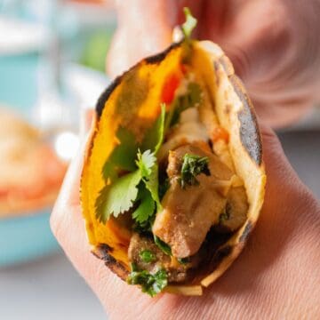 Hands holding a taco up, smeared with hummus and loaded with sauteed mushrooms, zucchini, and kale, garnished with cilantro.
