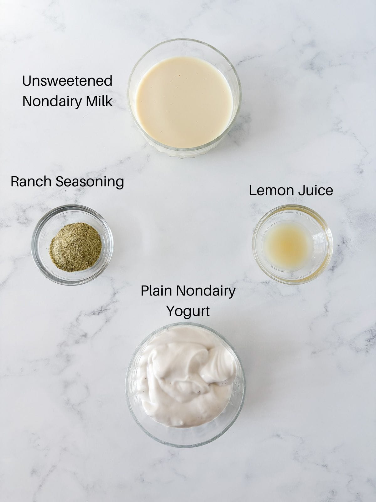 Ingredients for dairy free ranch dressing.