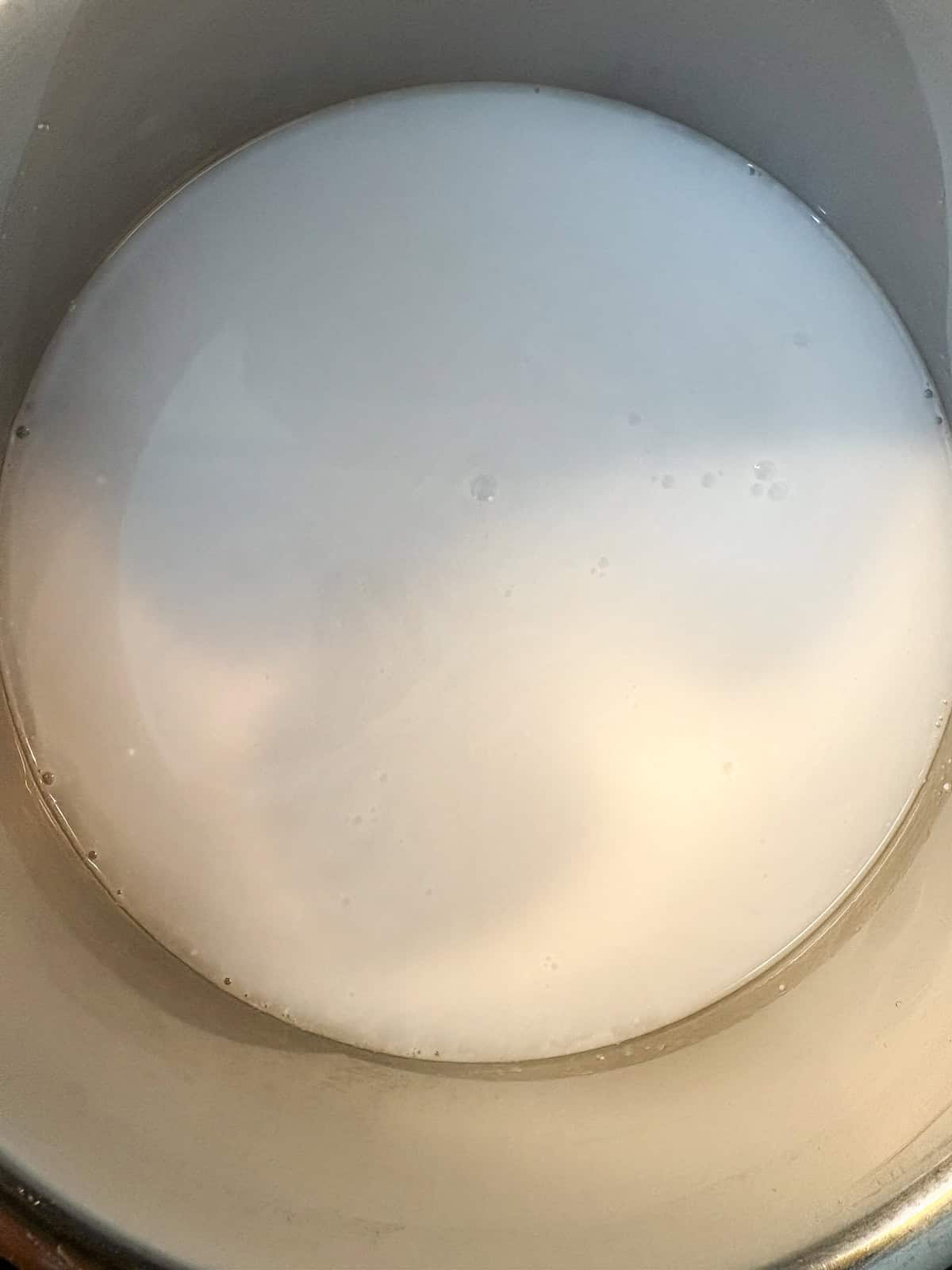 Pot with coconut milk beverage and water combined.