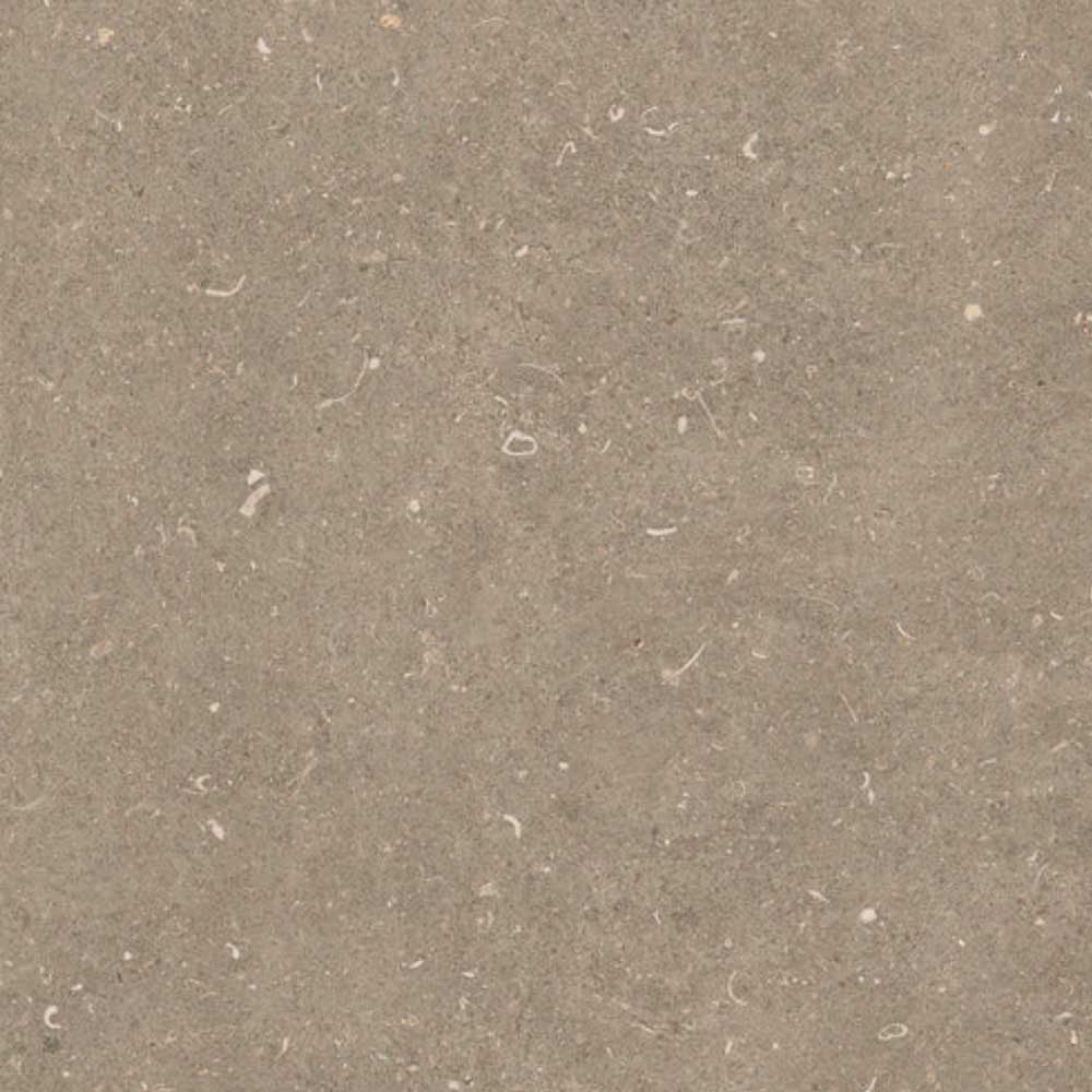 Evora Gray