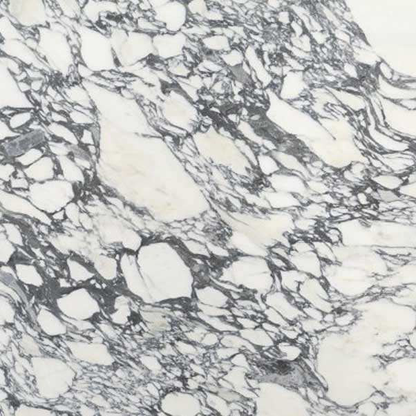 White stone surface with bold branching gray and black veins.