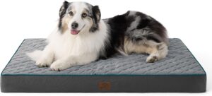best pet products for dogs and cats orthopedic dog bed