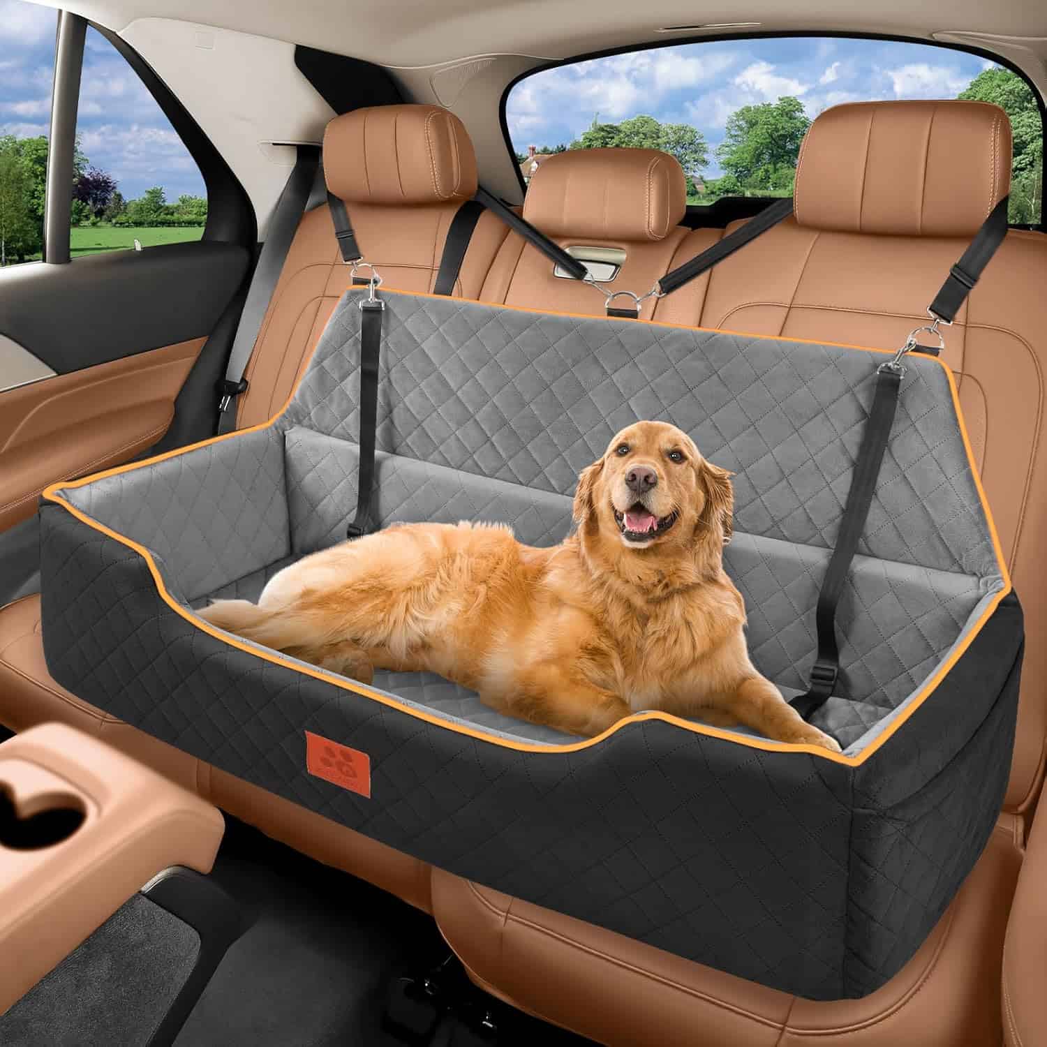 Best Dog Beds