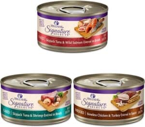 Wellness CORE grain free wet cat food
