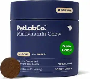 Allergy support multivitamin for dogs