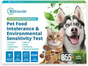 dog-gut-health