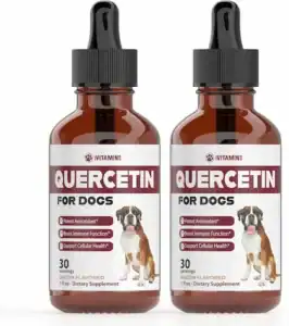 Quercetin supplement for dogs with allergies