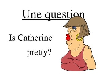 French PowerPoint on How to Form Questions - Image 3