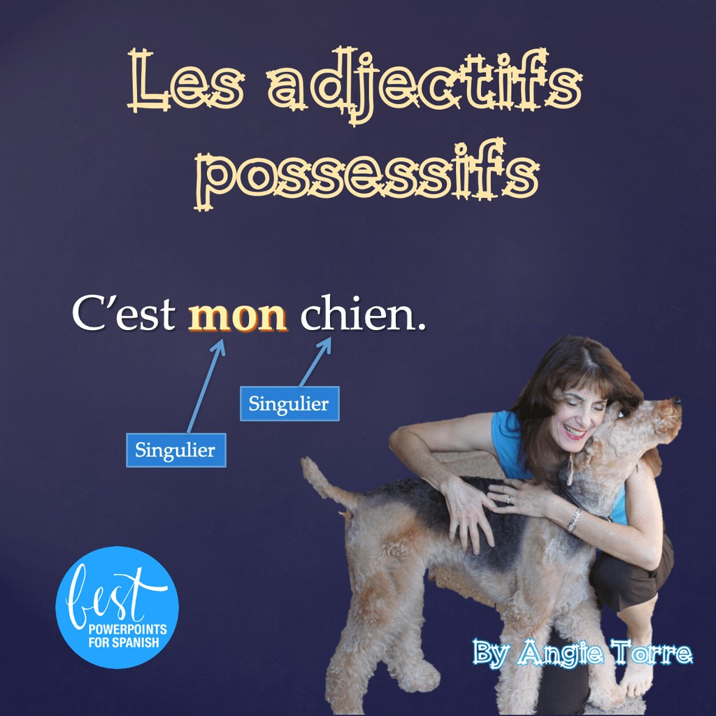 French Possessive Adjectives Les adjectifs possessifs