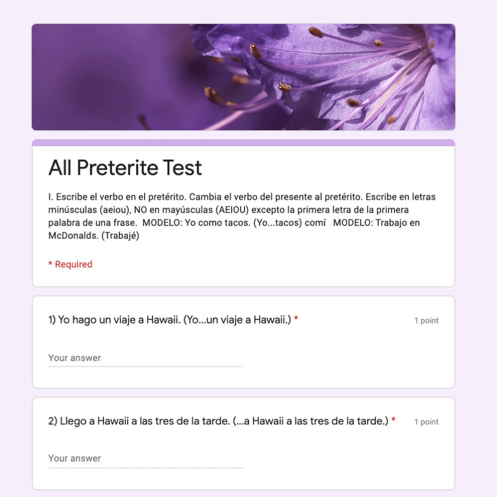 Spanish Preterite Tense Self-correcting Google Forms Activities or Tests - Image 2