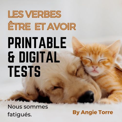 Être and Avoir French Printable and Digital Tests Nous sommes fatigués. Dog and cat sleeping
