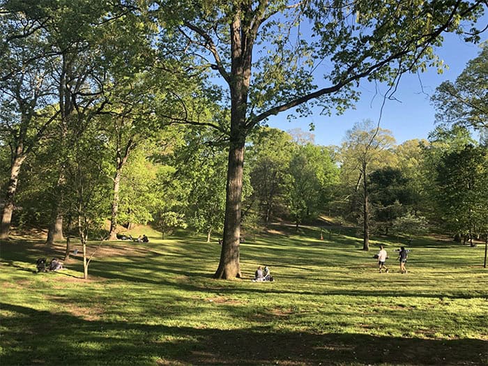 Parks: Not Just Fun and Games