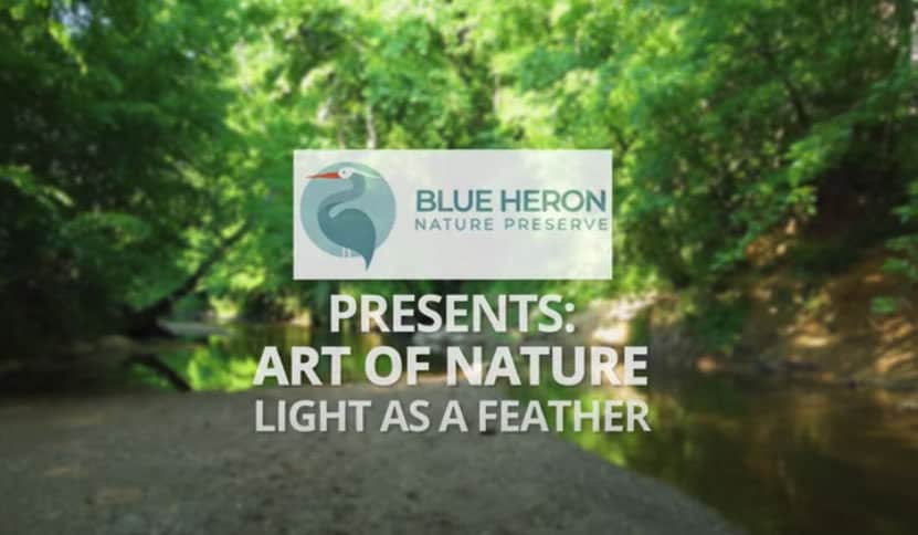 art of Nature