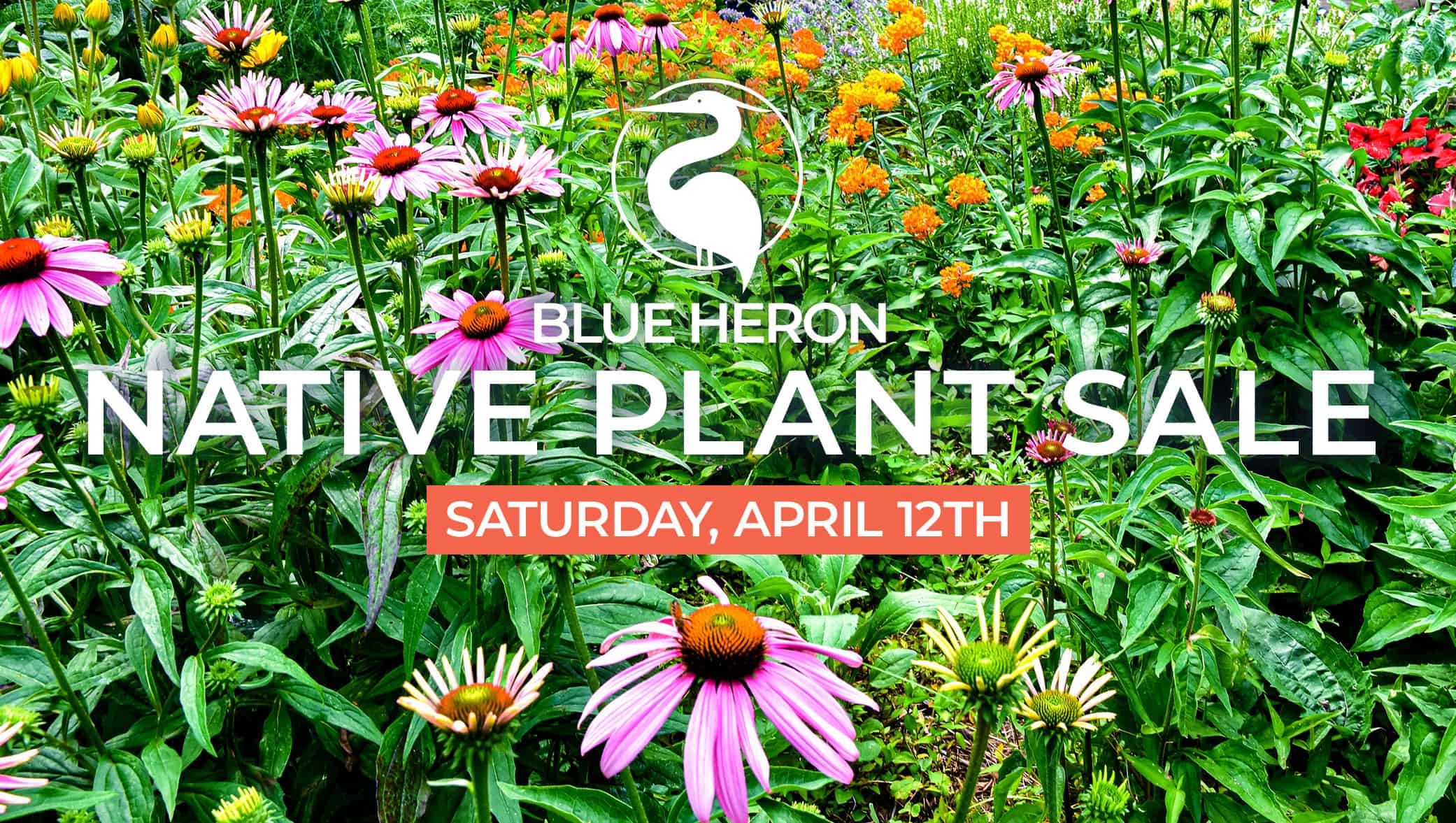 Native Plant Sale