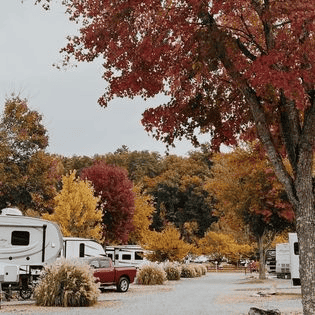 Rv park in the fall with trees in the background.