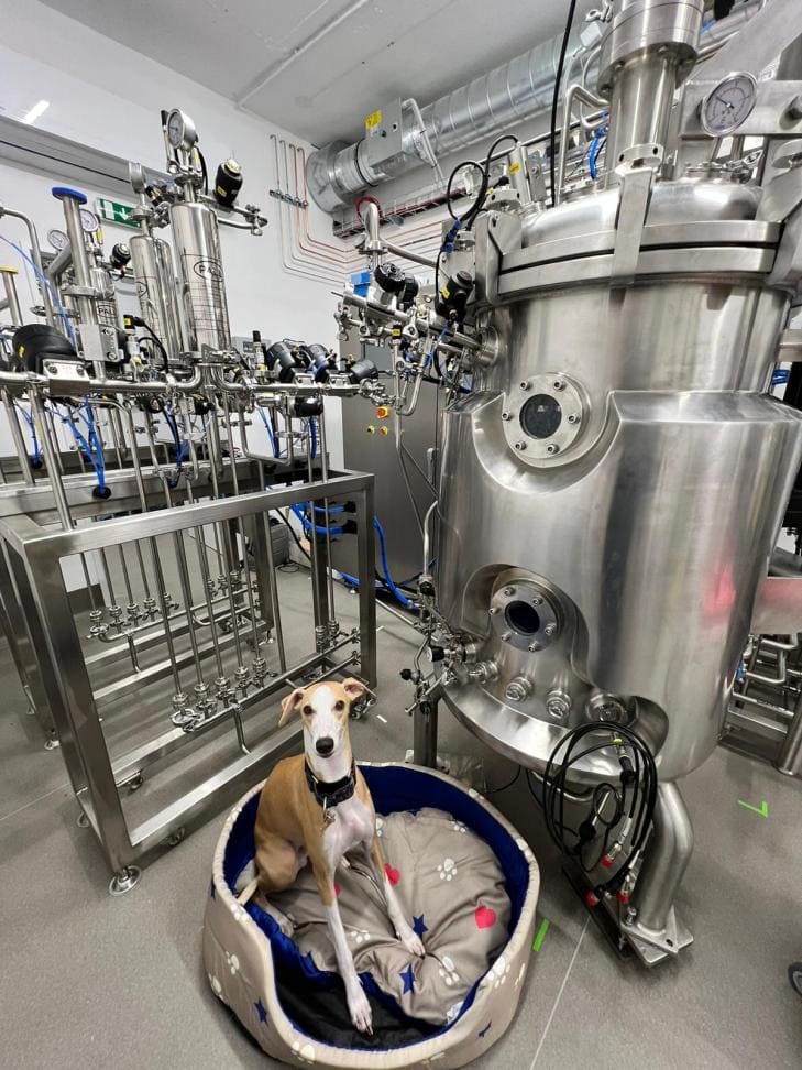 300L Cell culture Bioreactor-Europe